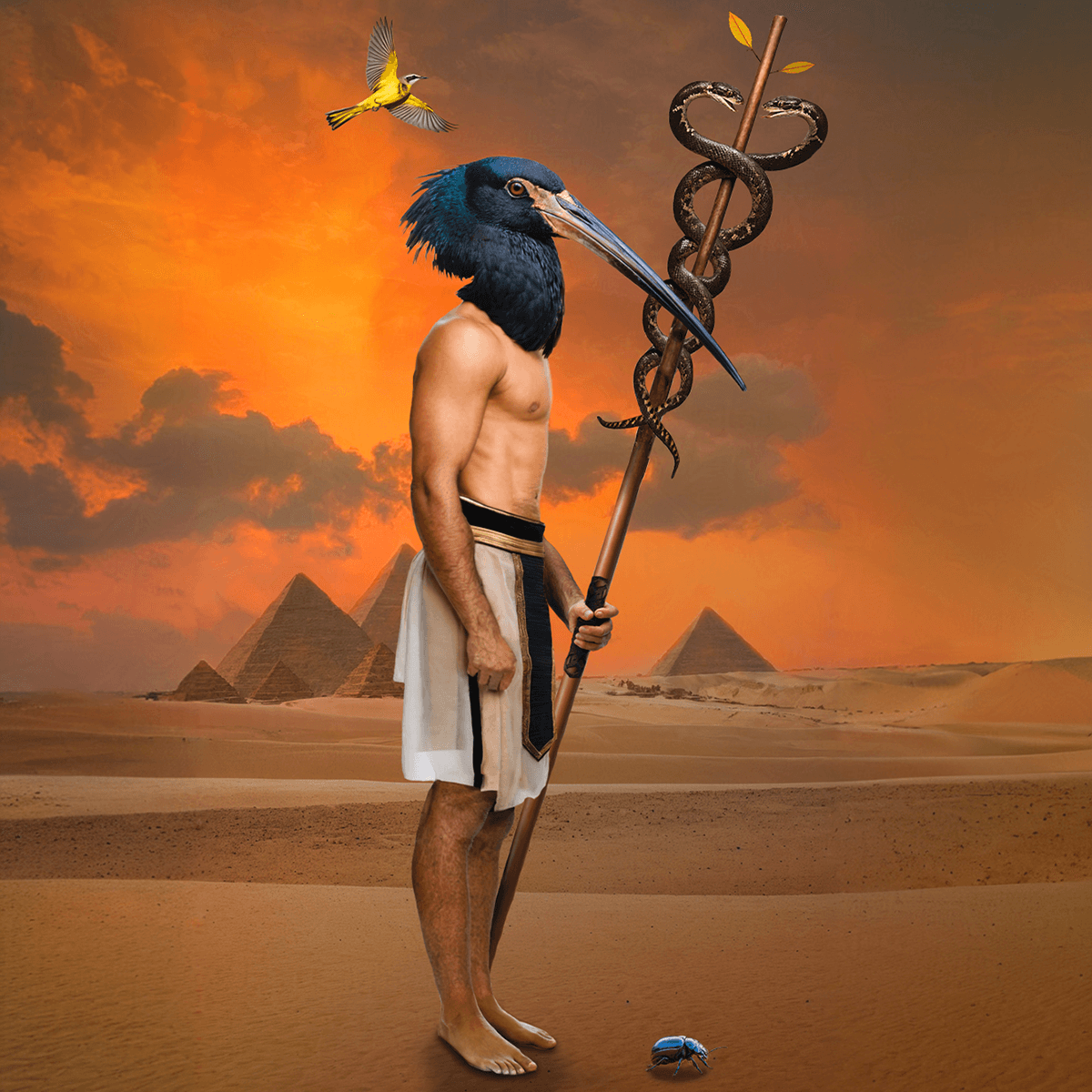 Hero image for 'Page of Wands' Tarot card