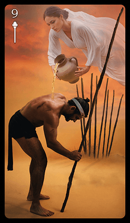 Current: Nine of Wands