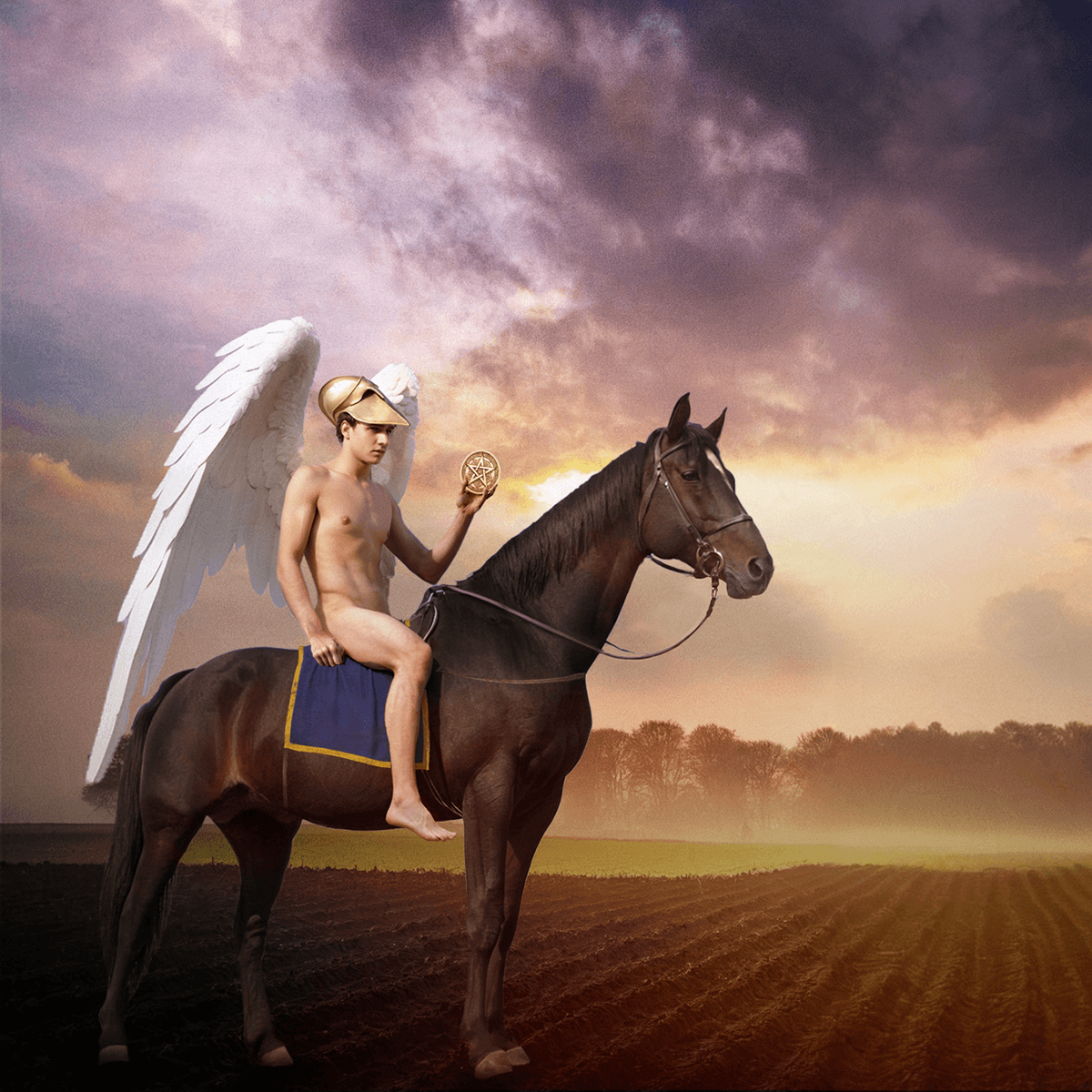 Hero image for 'Knight of Pentacles' Tarot card