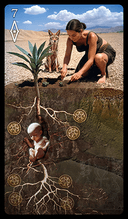 Next: Seven of Pentacles