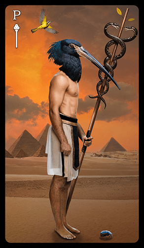 Upright 'Page of Wands' Tarot card